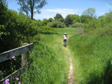 Old bridge facing North